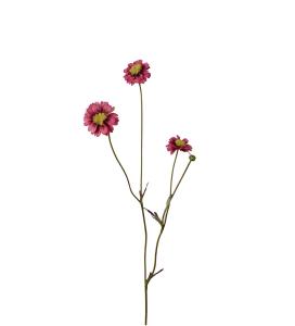 Coreopsis - Rosa - 57 cm - www.frokenfraken.se