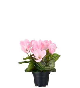 Cyklamen - Rosa - 22 cm - www.frokenfraken.se