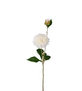 Dahlia - Cream - 66 cm - www.frokenfraken.se