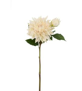 Dahlia - Cream - 70 cm - www.frokenfraken.se
