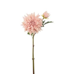 Dahlia - Persika - 70 cm - www.frokenfraken.se