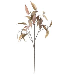 Eucalyptus - Brun - 90 cm - www.frokenfraken.se