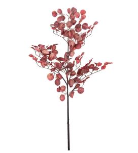 Eucalyptus - Rosa - 110 cm - www.frokenfraken.se