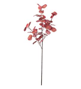 Eucalyptus - Rosa - 95 cm - www.frokenfraken.se