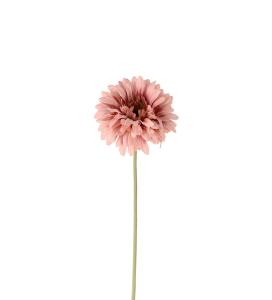 Gerbera - Rosa - 55 cm - www.frokenfraken.se