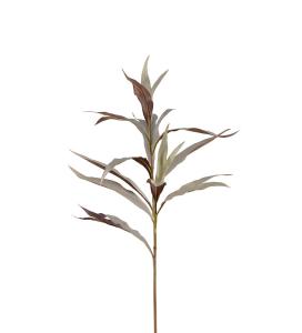 Grevilleakvist - Grå - 85 cm - www.frokenfraken.se