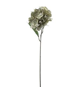Hortensia - Grön - 60 cm - www.frokenfraken.se