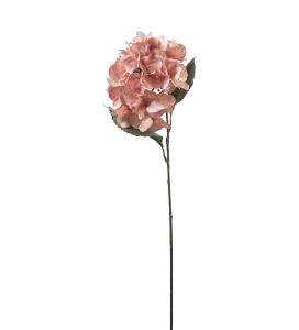Hortensia - Rosa - 60 cm - www.frokenfraken.se