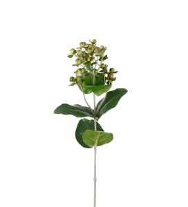 Hypericum - Grön - 68 cm - www.frokenfraken.se