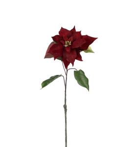 Julstjärna - Burgundy - 50 cm - www.frokenfraken.se