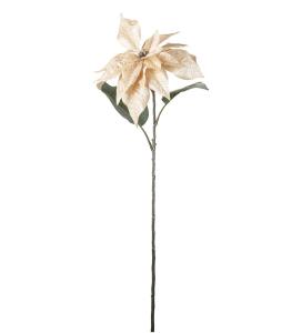 Julstjärna - Champagne - 70 cm - www.frokenfraken.se