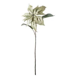 Julstjärna - Grön - 70 cm - www.frokenfraken.se