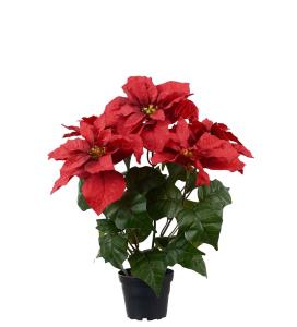 Julstjärna - Röd - 45 cm - www.frokenfraken.se