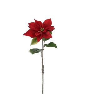 Julstjärna - Röd - 50 cm - www.frokenfraken.se
