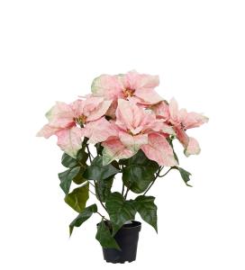Julstjärna - Rosa - 45 cm - www.frokenfraken.se