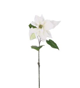 Julstjärna - Vit - 50 cm - www.frokenfraken.se