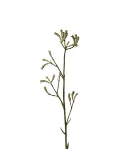Kängurutass - Grön - 78 cm - www.frokenfraken.se
