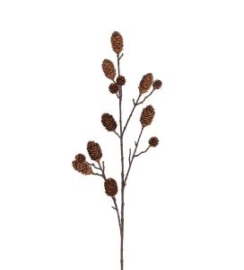 Kvist med kottar - Brun - 100 cm - www.frokenfraken.se