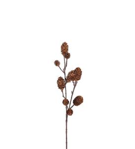 Kvist med kottar - Brun - 70 cm - www.frokenfraken.se