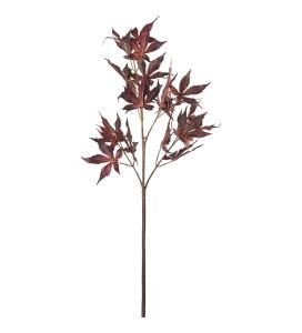 Lönnkvist - Burgundy - 72 cm - www.frokenfraken.se
