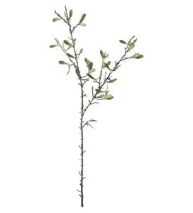 Mistel - Grön - 95 cm - www.frokenfraken.se