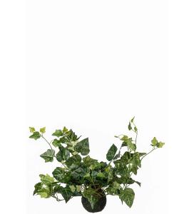 Murgröna - Grön - 30 x 60 cm - www.frokenfraken.se