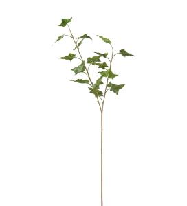 Murgröna - Grön - 70 cm - www.frokenfraken.se