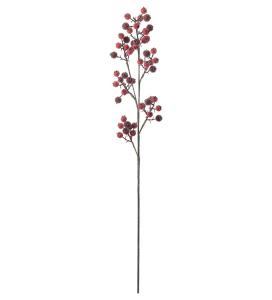 Nyponkvist med is - Röd - 90 cm - www.frokenfraken.se