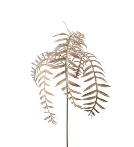 Ormbunksblad - Beige - 50 cm - www.frokenfraken.se