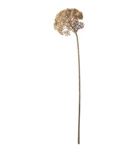 Röllika - Beige - 80 cm - www.frokenfraken.se