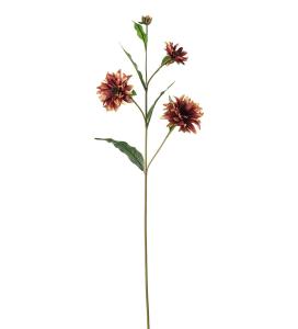 Rudbeckia - Flerfärgad - 80 cm - www.frokenfraken.se
