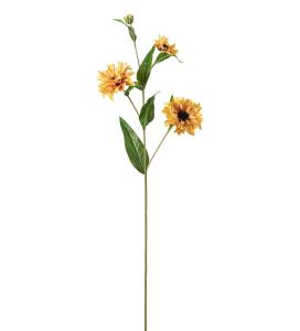 Rudbeckia - Gul - 80 cm - www.frokenfraken.se