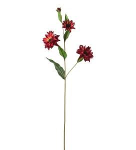 Rudbeckia - Röd - 80 cm - www.frokenfraken.se