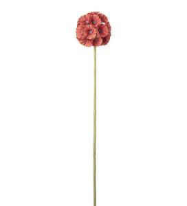 Scabiosa - Orange - 60 cm - www.frokenfraken.se