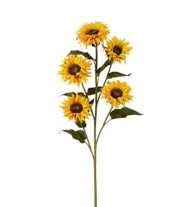 Solros - Gul - 115 cm - www.frokenfraken.se