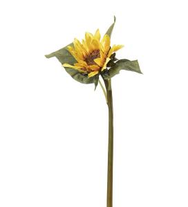 Solros - Gul - 50 cm - www.frokenfraken.se