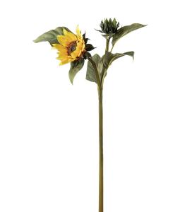 Solros - Gul - 74 cm - www.frokenfraken.se