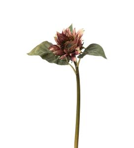 Solros - Lila - 50 cm - www.frokenfraken.se