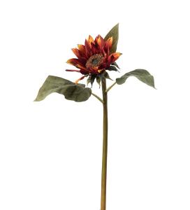Solros - Orange - 50 cm - www.frokenfraken.se