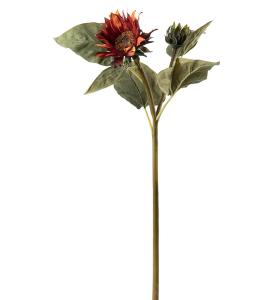 Solros - Orange - 74 cm - www.frokenfraken.se