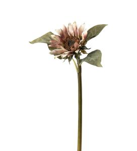 Solros - Rosa - 50 cm - www.frokenfraken.se