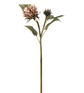 Solros - Rosa - 74 cm - www.frokenfraken.se