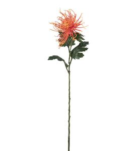 Spindelchrysanthemum - Gul - 70 cm - www.frokenfraken.se