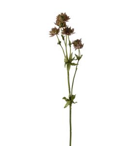 Stjärnflocka - Rosa - 55 cm - www.frokenfraken.se