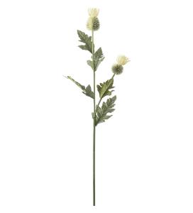 Tistel - Cream - 92 cm - www.frokenfraken.se