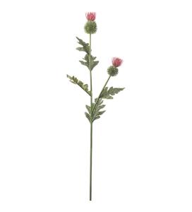 Tistel - Rosa - 92 cm - www.frokenfraken.se