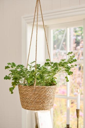 Ampel - Hängande korg - Sjögräs - Ø23 cm - www.frokenfraken.se
