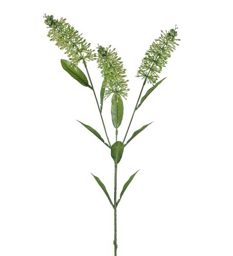 Astilbe - Gul - 70 cm - www.frokenfraken.se