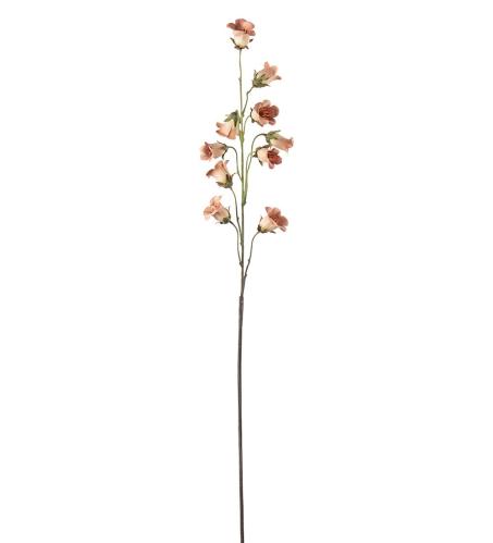 Blåklocka - Persika - 85 cm - www.frokenfraken.se