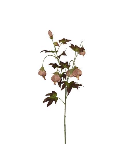 Blomsterlönn - Brun - 83 cm - www.frokenfraken.se
